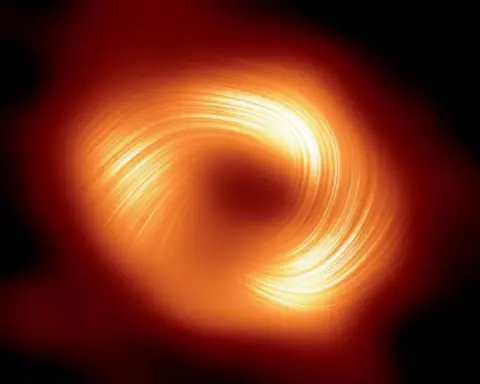 Black hole unveils the intricate patterns of its magnetic fields